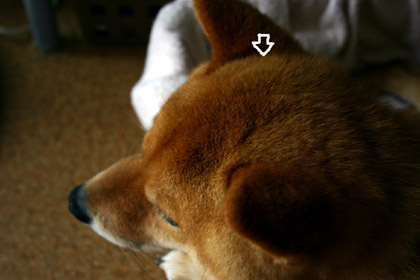 072003.jpg