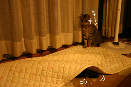 082702.jpg
