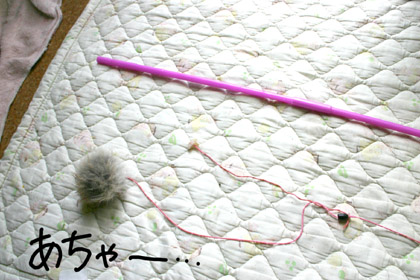 090603.jpg