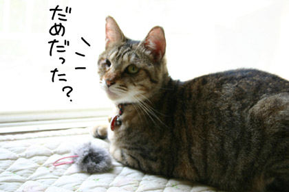 090604.jpg