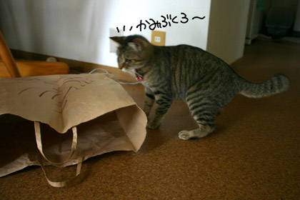 092601.jpg