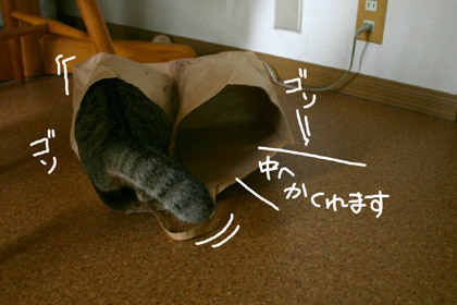 092602.jpg