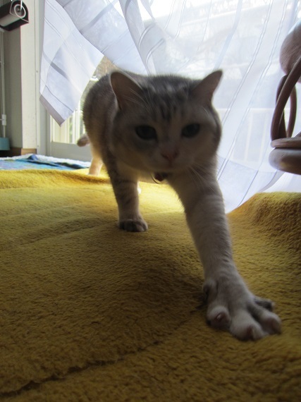 ran190102_5s.jpg