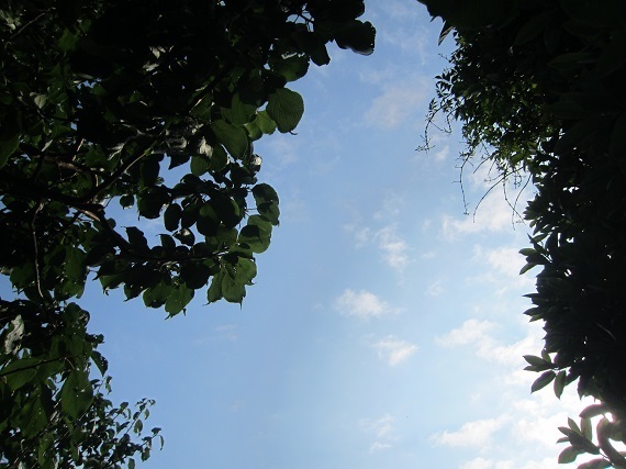 ran190717_1s.jpg