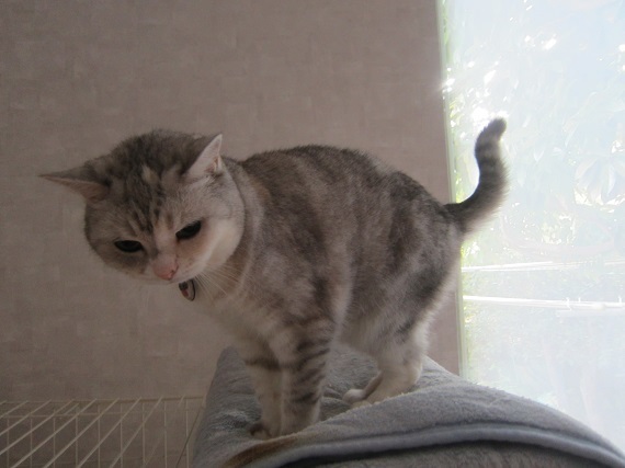 ran190902_1s.jpg